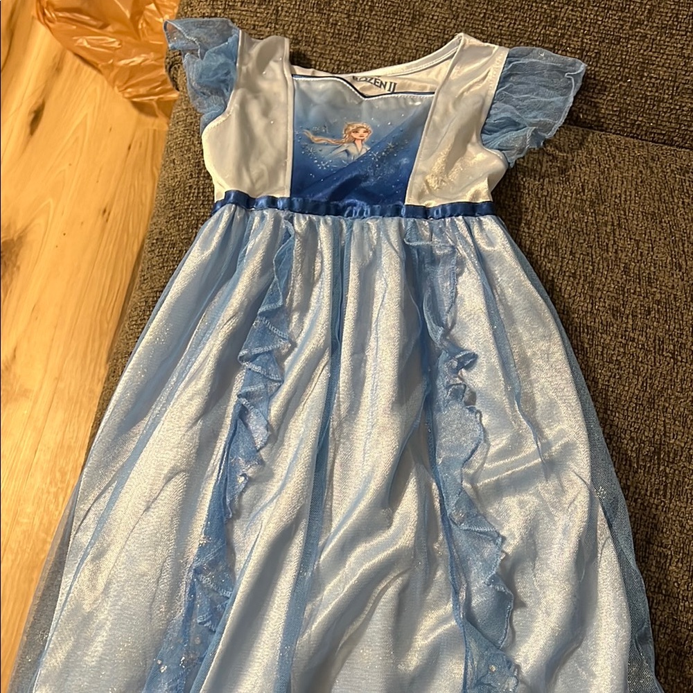 Frozen Blue Princess Costume